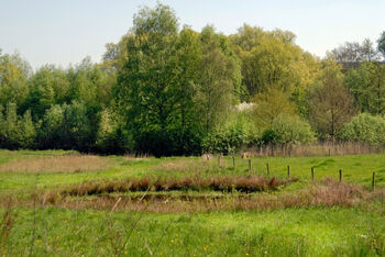 Versnipperde natuur houdt economische groei tegen