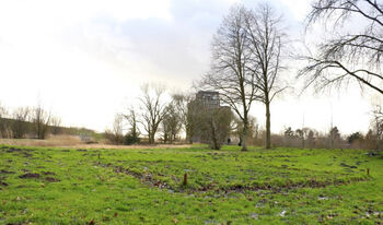 Stukje 'niemandsland' in Zaartpark Breda