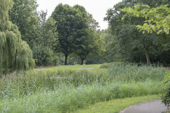 Waarde van groen berekend voor herinrichting stadspark