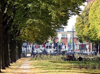 Kennisbijeenkomst  “Meer groen..” in Nijmegen